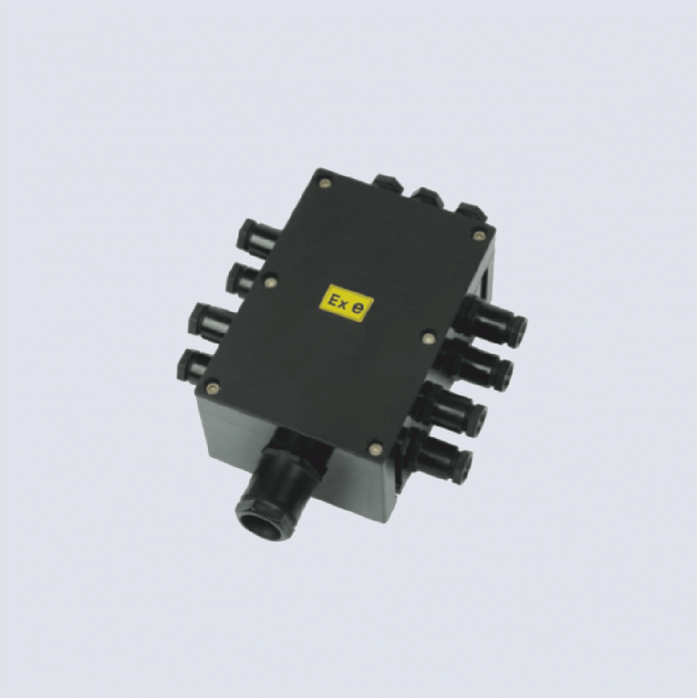 BJX8050系列防爆防腐接線箱(II C、 ExtD)